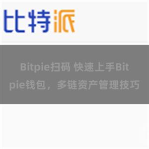 Bitpie扫码 快速上手Bitpie钱包，多链资产管理技巧