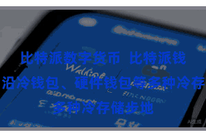 比特派数字货币  比特派钱包还相沿冷钱包、硬件钱包等多种冷存储步地