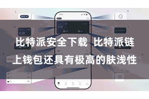 比特派安全下载  比特派链上钱包还具有极高的肤浅性