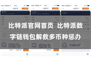 比特派官网首页  比特派数字链钱包解救多币种惩办