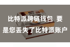 比特派跨链钱包  要是您丢失了比特派账户