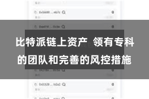 比特派链上资产  领有专科的团队和完善的风控措施