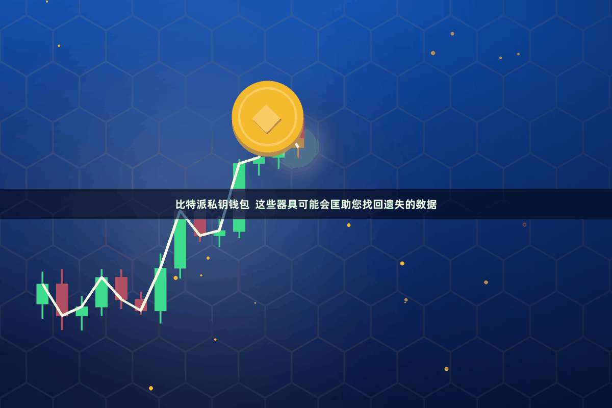 比特派私钥钱包  这些器具可能会匡助您找回遗失的数据